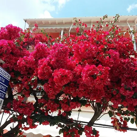 Apartament Efthalia & *