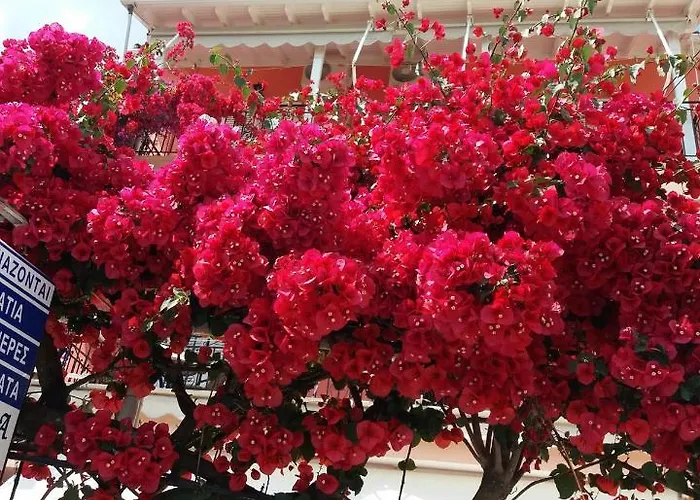 Διαμέρισμα Efthalia & *